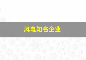 风电知名企业