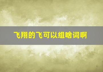 飞翔的飞可以组啥词啊