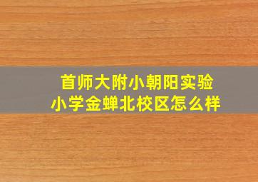 首师大附小朝阳实验小学金蝉北校区怎么样