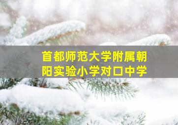 首都师范大学附属朝阳实验小学对口中学