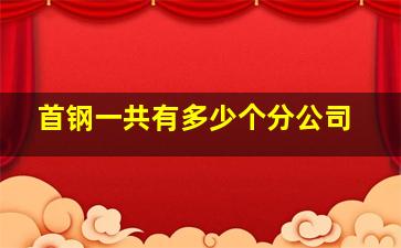 首钢一共有多少个分公司