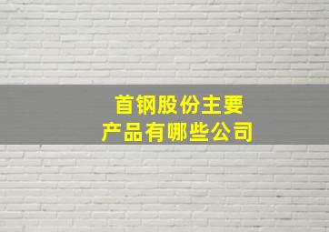 首钢股份主要产品有哪些公司