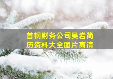 首钢财务公司吴岩简历资料大全图片高清