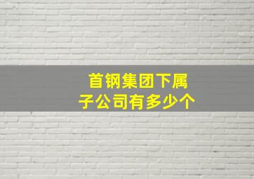 首钢集团下属子公司有多少个