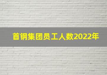 首钢集团员工人数2022年