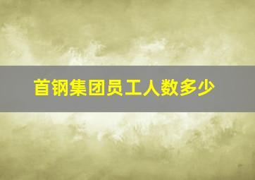 首钢集团员工人数多少