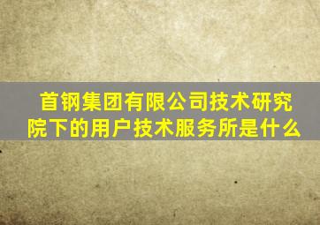 首钢集团有限公司技术研究院下的用户技术服务所是什么