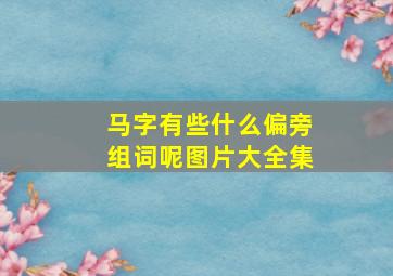 马字有些什么偏旁组词呢图片大全集