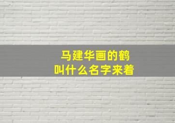 马建华画的鹤叫什么名字来着