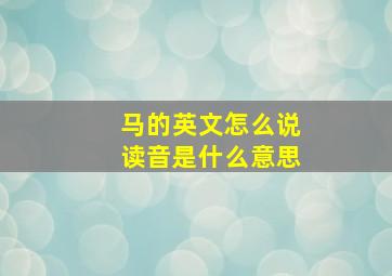 马的英文怎么说读音是什么意思