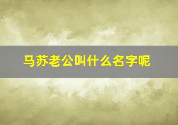 马苏老公叫什么名字呢