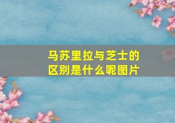 马苏里拉与芝士的区别是什么呢图片