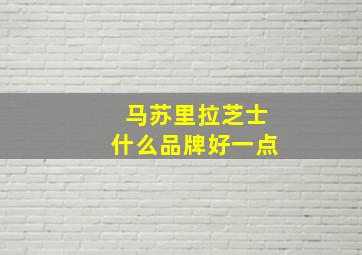 马苏里拉芝士什么品牌好一点