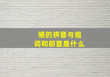 骆的拼音与组词和部首是什么