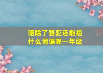 骆除了骆驼还能组什么词语呢一年级