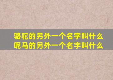 骆驼的另外一个名字叫什么呢马的另外一个名字叫什么