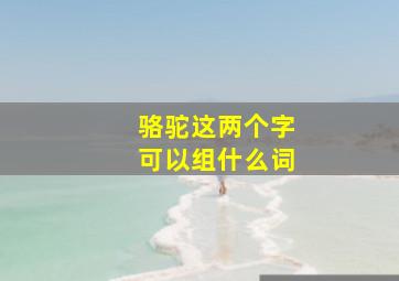 骆驼这两个字可以组什么词