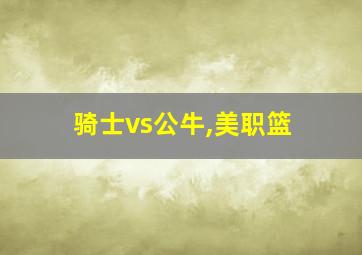 骑士vs公牛,美职篮