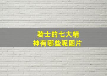 骑士的七大精神有哪些呢图片