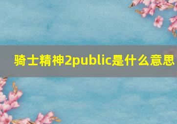 骑士精神2public是什么意思