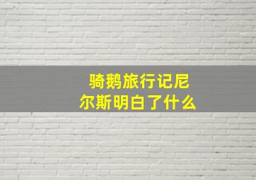 骑鹅旅行记尼尔斯明白了什么