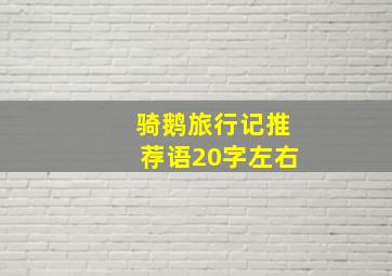 骑鹅旅行记推荐语20字左右