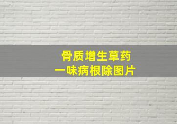 骨质增生草药一味病根除图片