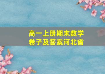 高一上册期末数学卷子及答案河北省