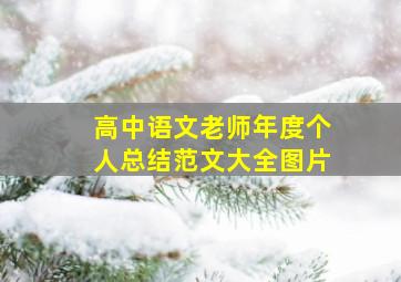 高中语文老师年度个人总结范文大全图片