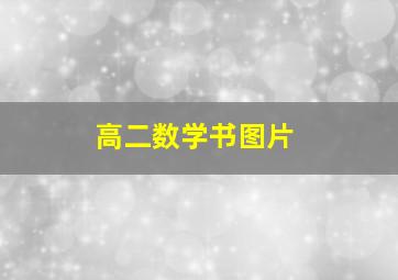 高二数学书图片