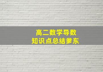 高二数学导数知识点总结爹东