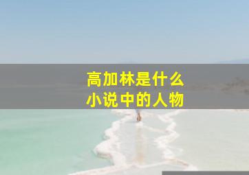 高加林是什么小说中的人物