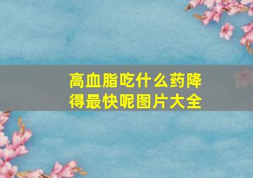 高血脂吃什么药降得最快呢图片大全