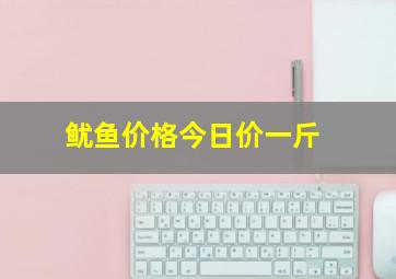 鱿鱼价格今日价一斤