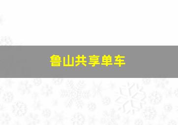 鲁山共享单车