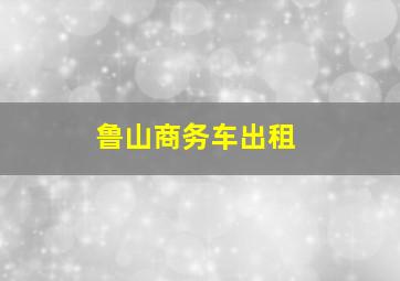 鲁山商务车出租