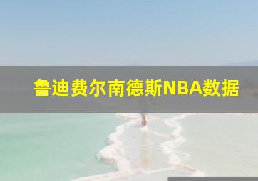 鲁迪费尔南德斯NBA数据