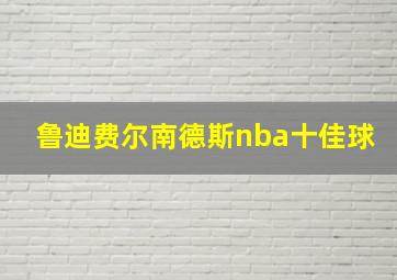 鲁迪费尔南德斯nba十佳球