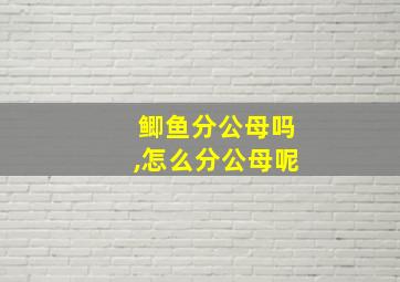 鲫鱼分公母吗,怎么分公母呢