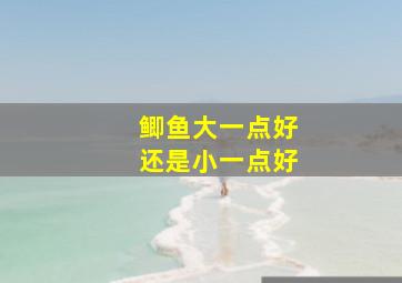 鲫鱼大一点好还是小一点好