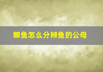 鲫鱼怎么分辨鱼的公母