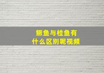 鳜鱼与桂鱼有什么区别呢视频