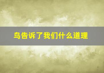 鸟告诉了我们什么道理