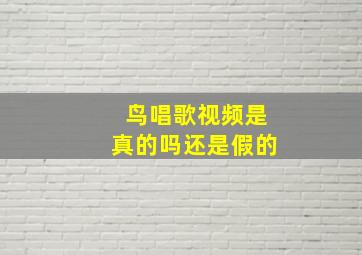 鸟唱歌视频是真的吗还是假的