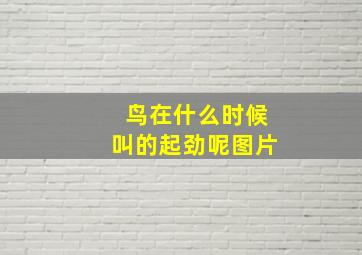 鸟在什么时候叫的起劲呢图片