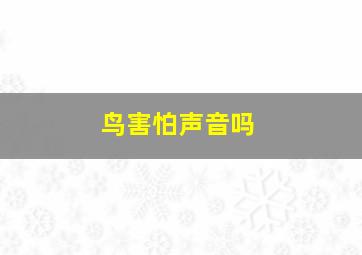 鸟害怕声音吗