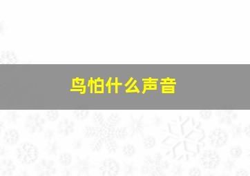 鸟怕什么声音