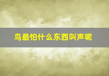 鸟最怕什么东西叫声呢