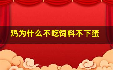 鸡为什么不吃饲料不下蛋