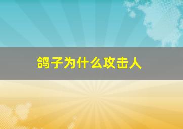 鸽子为什么攻击人